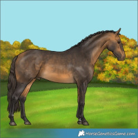 Horse Color:Buckskin 