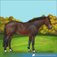 Horse Color:Brown 