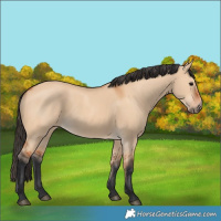 Horse Color:Bay Dun