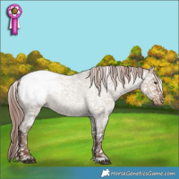 Horse Color:Liver Red Dun Roan Snowcap 
