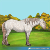 Horse Color:Liver Red Dun Roan Snowflake Varnish