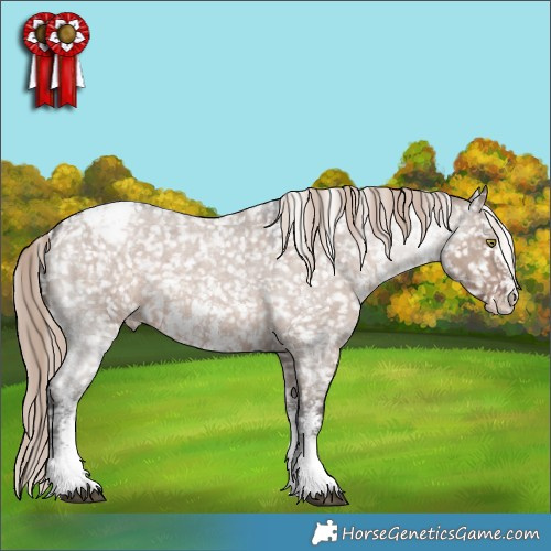 Horse Color:Liver Red Dun Roan Sabino Appaloosa 
