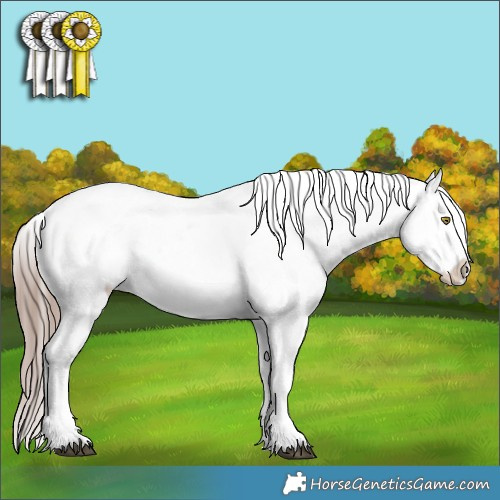 Horse Color:Liver Red Dun Roan Appaloosa Rabicano 