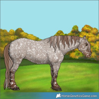 Horse Color:Liver Red Dun Roan Snowflake Varnish