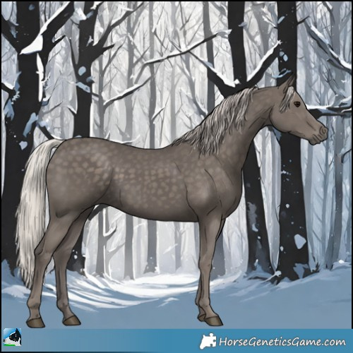 Horse Color:Silver Black