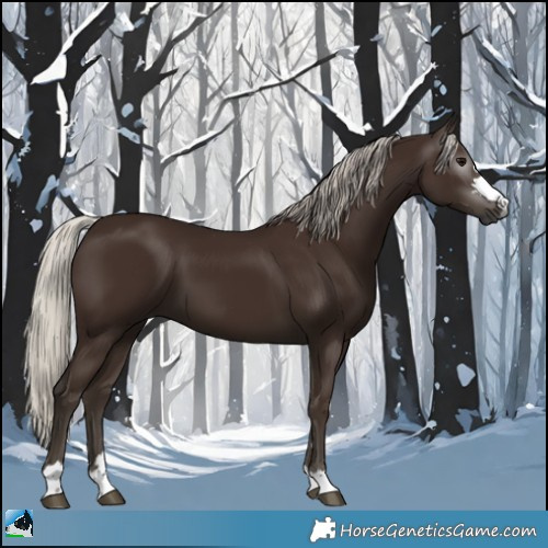Horse Color:Gray Silver Black