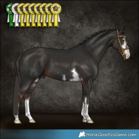 Horse Color:Liver Chestnut 