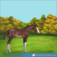 Horse Color:Chocolate Brown Splash