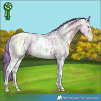 Horse Color:Nacre Watercolor White Spotted Brown Ice Pearl Tobiano 