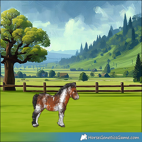 Horse Color:White Spotted Brown 