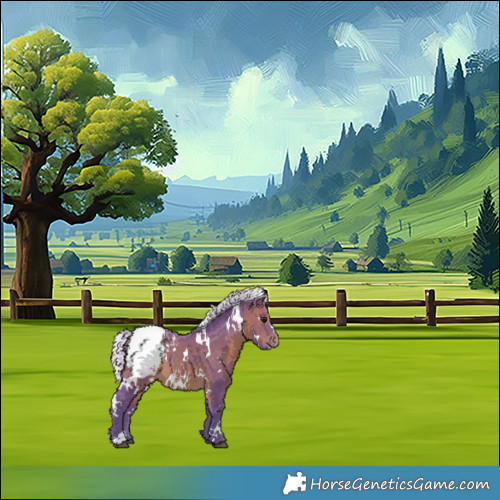 Horse Color:Watercolor White Spotted Silver Brown Appaloosa 