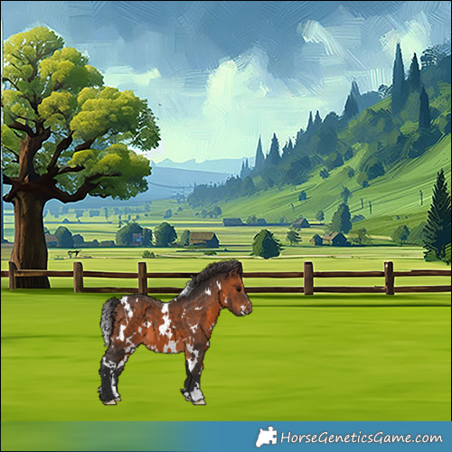 Horse Color:White Spotted Brown 