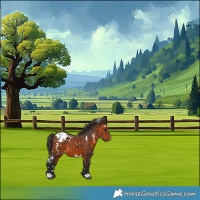 Horse Color:White Spotted Bay Appaloosa