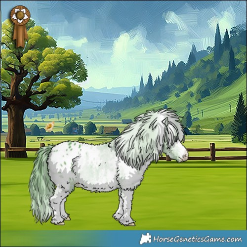 Horse Color:Watercolor White Spotted Bay Appaloosa 