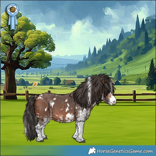 Horse Color:White Spotted Bay 