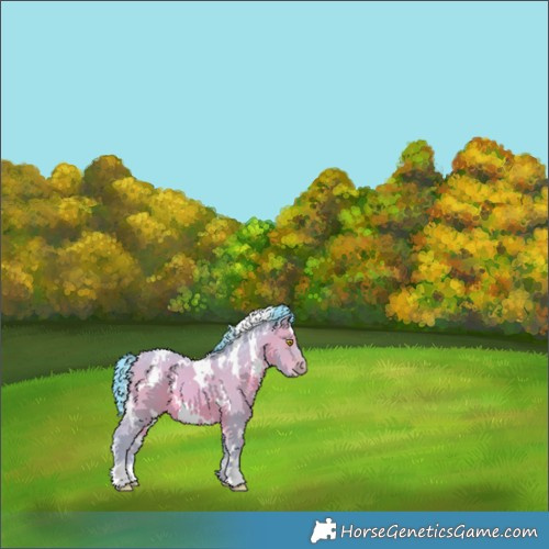 Horse Color:Watercolor White Spotted Sable Champagne 
