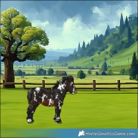Horse Color:Gray White Spotted Brown Varnish 
