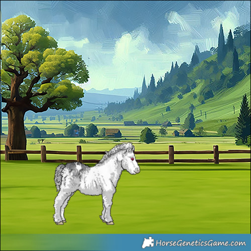 Horse Color:White Spotted Bay Chinchilla 