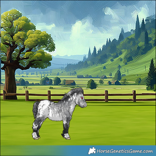 Horse Color:White Spotted Brown Chinchilla Appaloosa