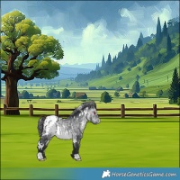 Horse Color:White Spotted Brown Chinchilla Appaloosa 