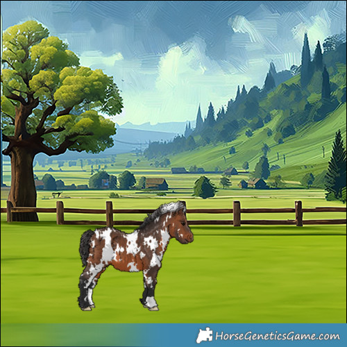 Horse Color:White Spotted Brown 