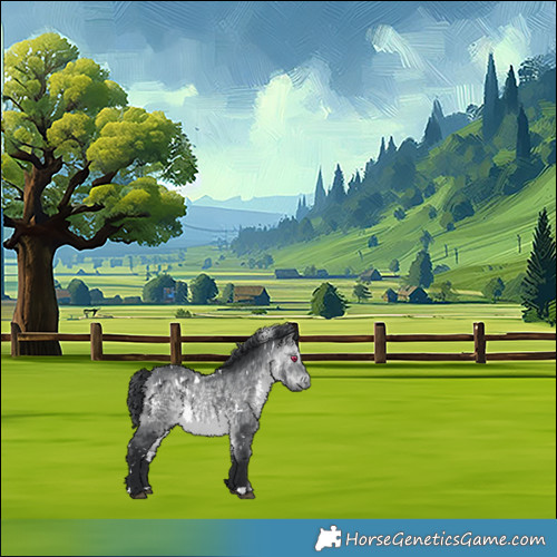 Horse Color:White Spotted Bay Chinchilla 