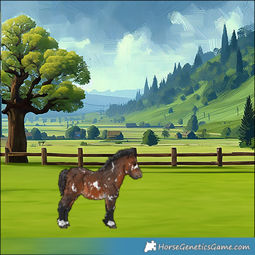 Horse Color:White Spotted Brown