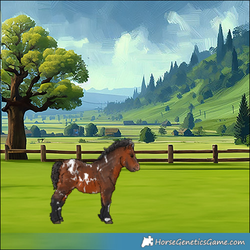 Horse Color:White Spotted Bay Varnish 