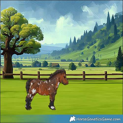 Horse Color:White Spotted Bay 