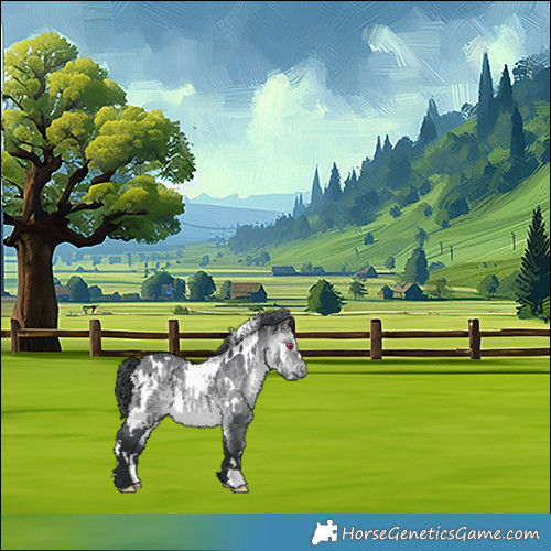 Horse Color:White Spotted Bay Chinchilla 
