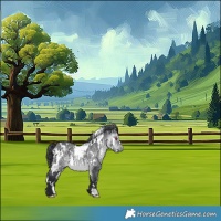 Horse Color:White Spotted Bay Chinchilla 