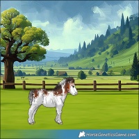 Horse Color:White Spotted Bay 