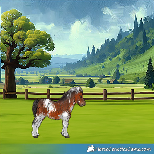 Horse Color:White Spotted Brown 