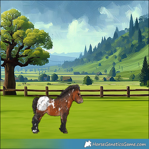 Horse Color:White Spotted Brown Blanket 