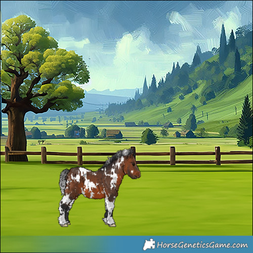 Horse Color:White Spotted Brown 
