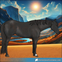 Horse Color:Liver Chestnut Rabicano