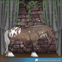 Horse Color:White Spotted Silver Brown Dun Mushroom Appaloosa 