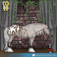 Horse Color:White Spotted Silver Brown Dun Mushroom Appaloosa