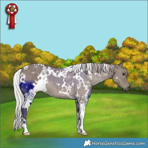 Horse Color:White Spotted Silver Grullo 