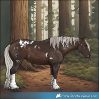 Horse Color:White Spotted Silver Brown Tobiano 