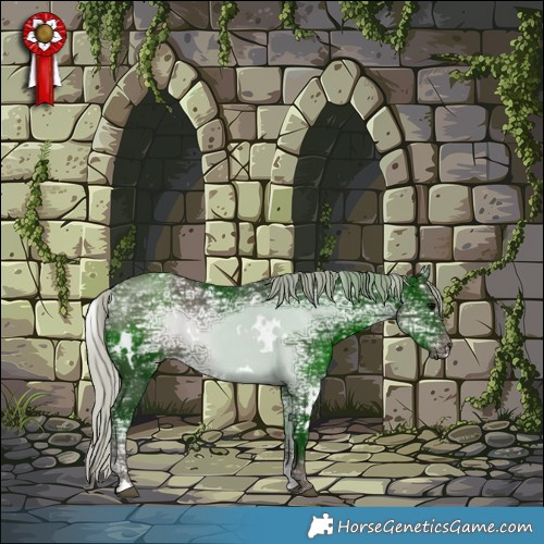 Horse Color:White Spotted Silver Black Ice 