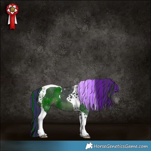 Horse Color:Painted Black Tobiano 