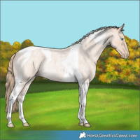 Horse Color:Perlino Roan Tobiano Rabicano 