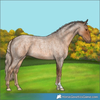Horse Color:Chocolate Palomino Roan 