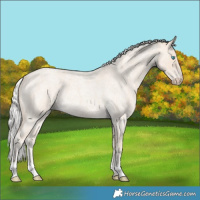 Horse Color:Silver Smoky Creme Roan 