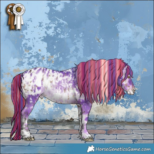Horse Color:Painted White Spotted Silver Brown Dun Appaloosa Brindle  and Watercolor White Spotted Liver Red Onyx Appaloosa Rabicano 