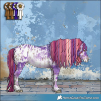 Horse Color:Painted White Spotted Silver Brown Dun Appaloosa Brindle  and Watercolor White Spotted Liver Red Onyx Appaloosa Rabicano 