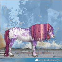 Horse Color:Painted White Spotted Silver Brown Dun Appaloosa Brindle  and Watercolor White Spotted Liver Red Onyx Appaloosa Rabicano 