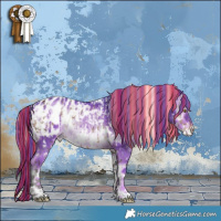 Horse Color:Painted White Spotted Silver Brown Dun Appaloosa Brindle  and Watercolor White Spotted Liver Red Onyx Appaloosa Rabicano 