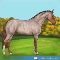 Horse Color:Red Roan